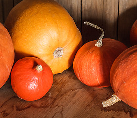 Image showing Pumpkins on grunge wooden backdrop background