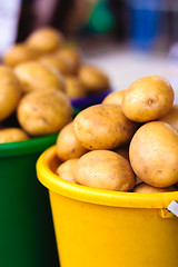 Image showing Potatoes at local market