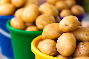 Image showing Potatoes at local market