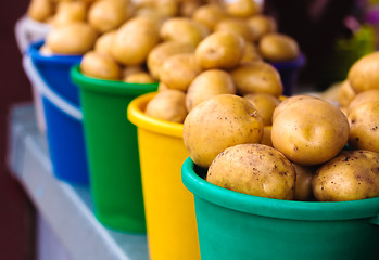 Image showing Potatoes at local market