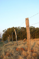 Image showing Barbed wire fence