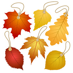 Image showing Hanging vector tags with autumn leaves.