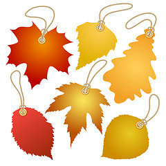 Image showing Hanging vector tags with autumn leaves.