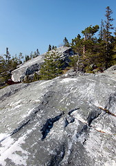 Image showing Koli Finland