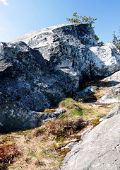 Image showing Koli Finland