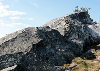 Image showing Koli Finland