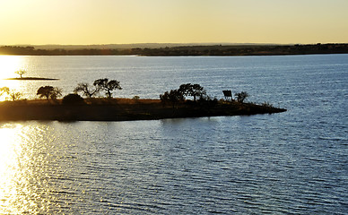 Image showing Trees in island of Alqueva lake