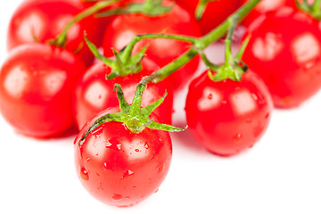 Image showing fresh organic cherry tomatoes 