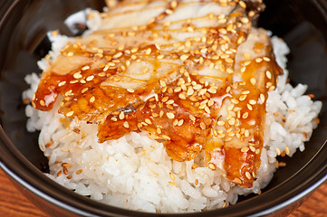 Image showing eel with rice