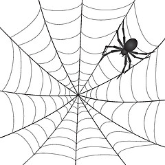 Image showing Spiderweb with Spider