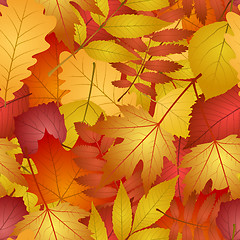 Image showing seamless with autumn leaves