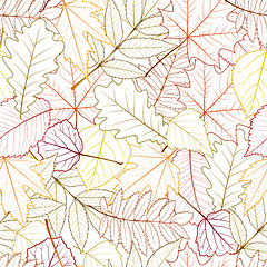 Image showing seamless with autumn leaves