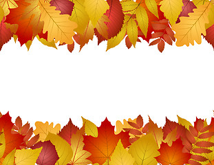 Image showing seamless with autumn leaves