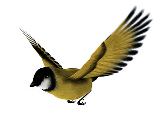 Image showing Flying Goldfinch