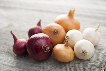 Image showing Onions