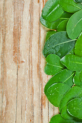 Image showing leaves on rustic wooden background 