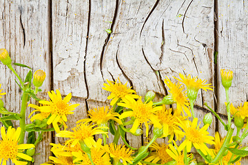 Image showing yellow flowers on wooden background