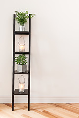 Image showing Shelf with plants and lanterns