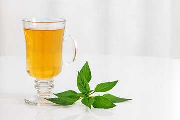 Image showing Tea and fresh mint