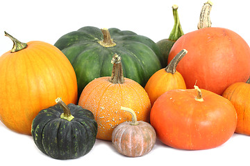 Image showing Pumpkins isolated