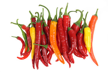 Image showing Peppers