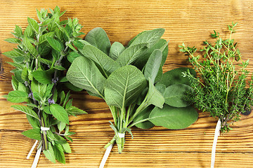 Image showing Fresh herbs