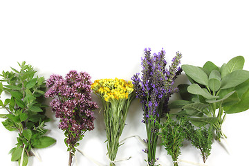 Image showing Fresh herbs