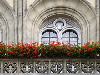 Image showing historic window in Dresden