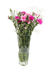 Image showing Vase of beautiful flowers
