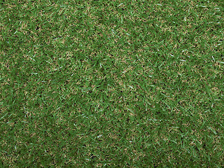 Image showing Synthetic grass