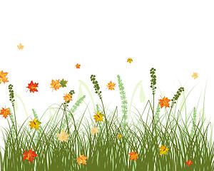 Image showing Meadow autumn background