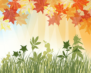 Image showing Meadow autumn background