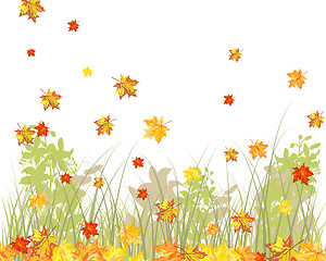 Image showing Meadow autumn background