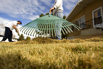 Image showing Lawn maintenance