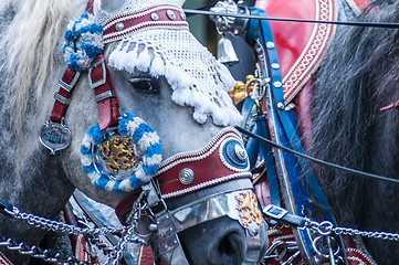 Image showing Parade of the hosts of the Wiesn