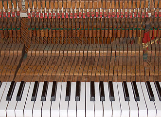 Image showing Inside the piano