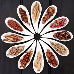 Image showing Chinese Healing Herbs