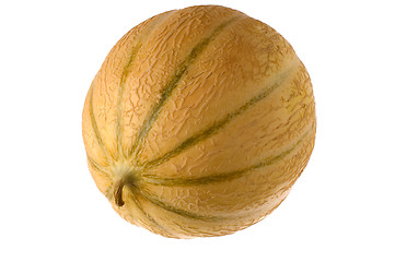 Image showing melon