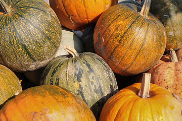 Image showing pumpkins
