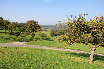 Image showing Hohenlohe