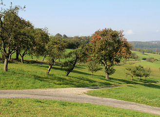 Image showing Hohenlohe