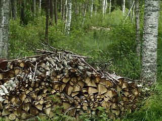 Image showing firewood