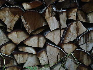 Image showing firewood