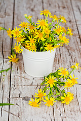 Image showing wild yellow flowers in bucket 