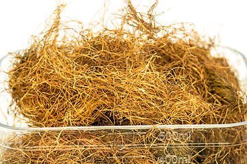 Image showing Maize beard tea