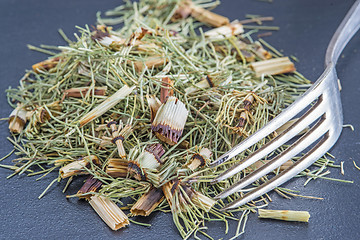 Image showing horse's tail, Equisetum arvense, medicinal plant