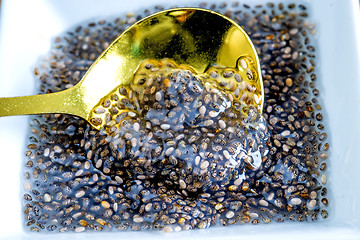 Image showing Chia seeds gelatine, Salvia hispanica