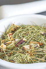 Image showing horse's tail, Equisetum arvense, medicinal plant