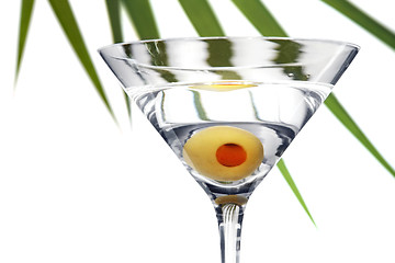 Image showing Foliage Martini