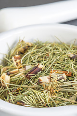 Image showing horse's tail, Equisetum arvense, medicinal plant